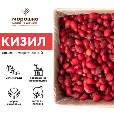 Кизил свежезамороженный 1 кг, П/П пакет