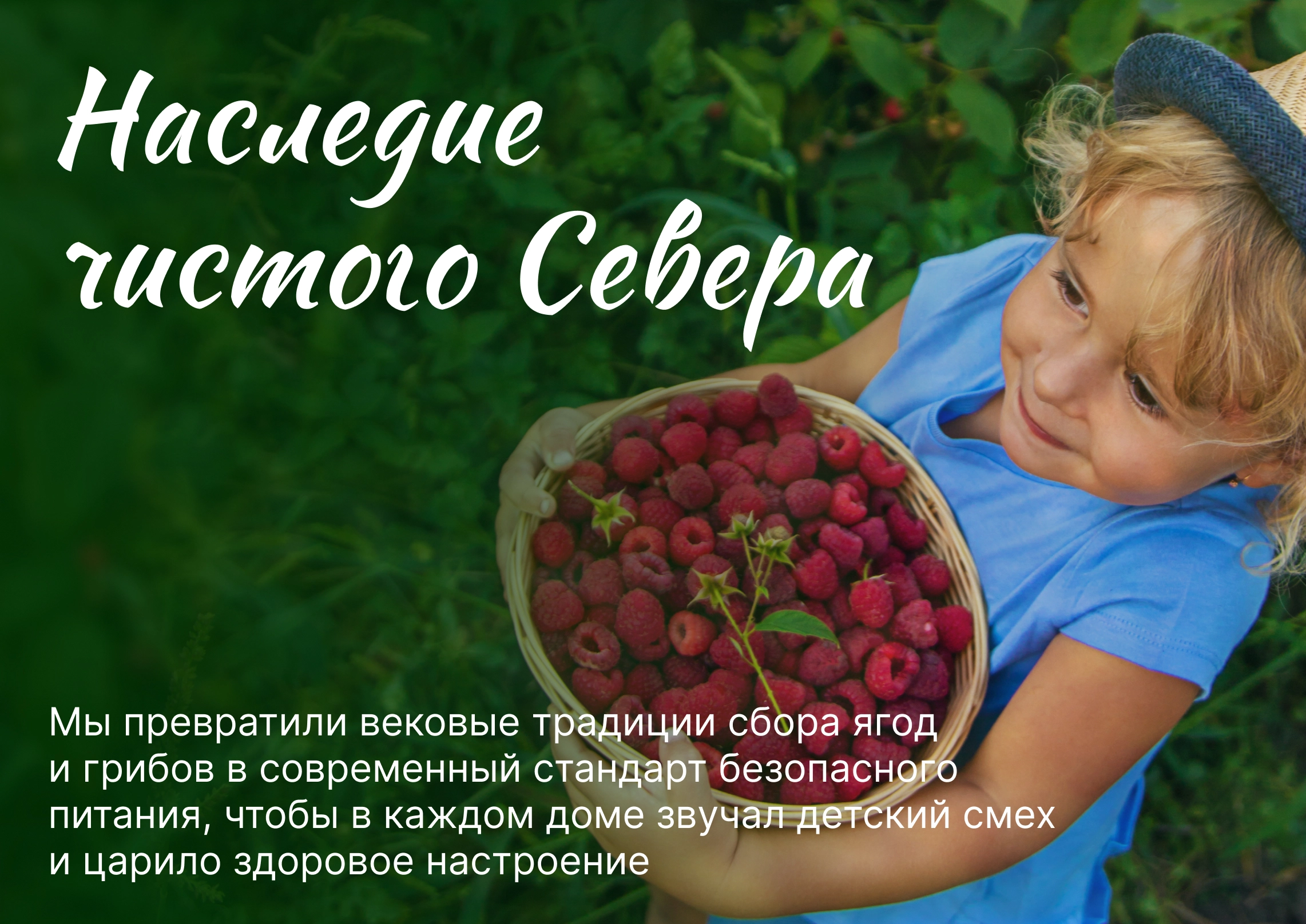 О компании