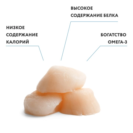 Гребешок морской филе с/м Китай (фас.500 гр.), уп.