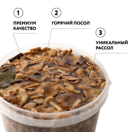 Опята соленые г/п (Вед/пл 3,2 л)