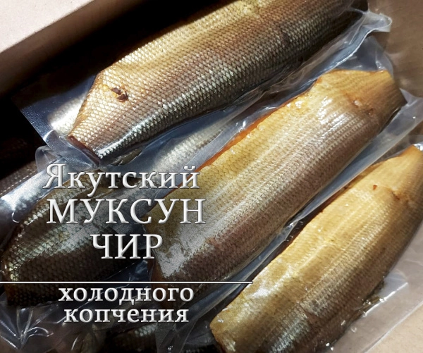 Чир спинка х/к, кг