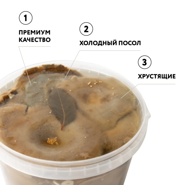Груздь настоящий соленый целый х/п (Вед/пл. 3,2 л.)